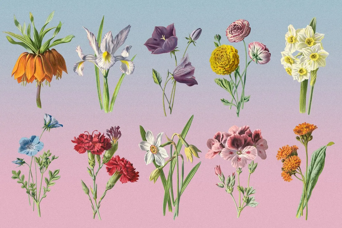 Atlas of Flowers — Botanical Art Set