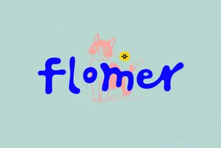Flomer - Bouncy Display Font