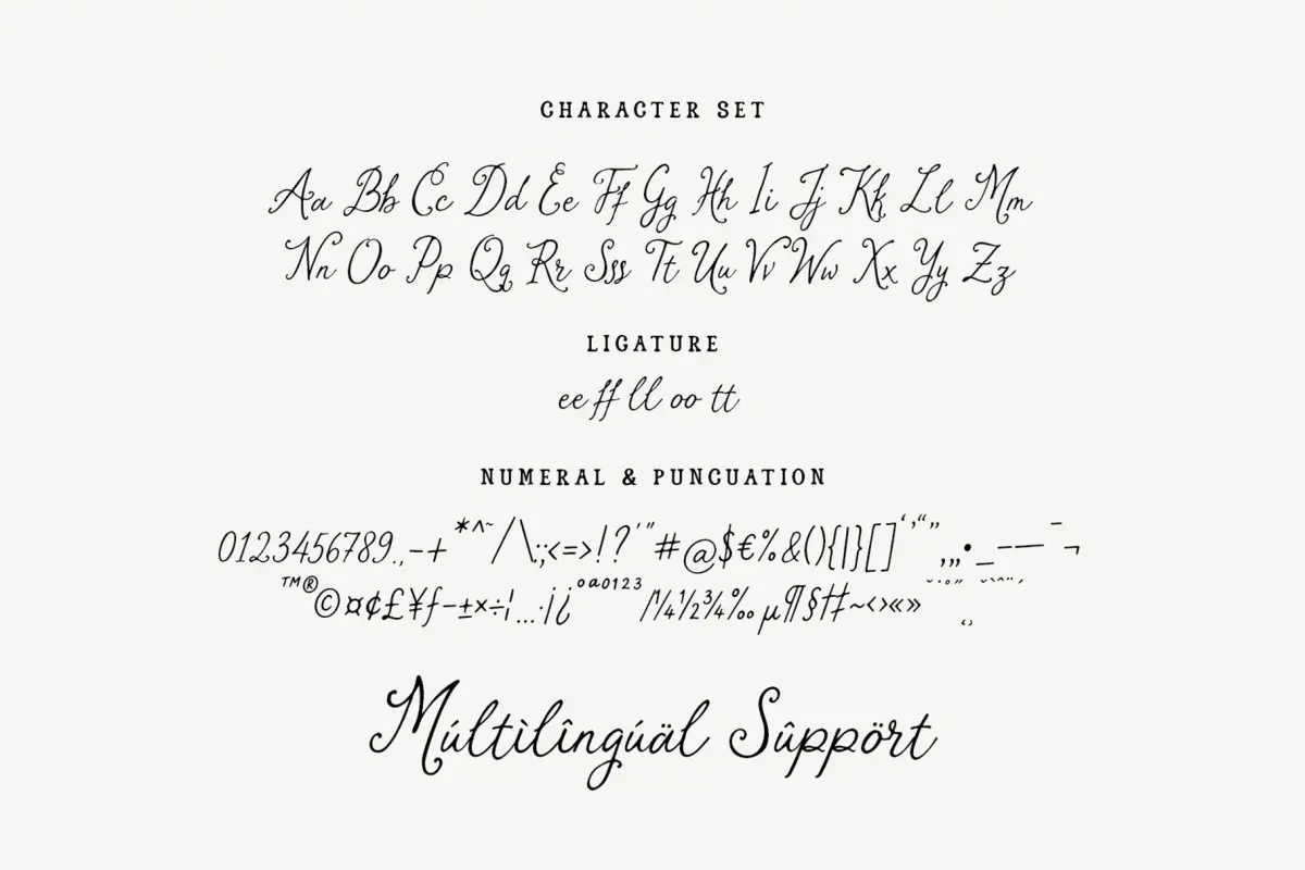 Charite Atelier - Elegant Handmade Script Font