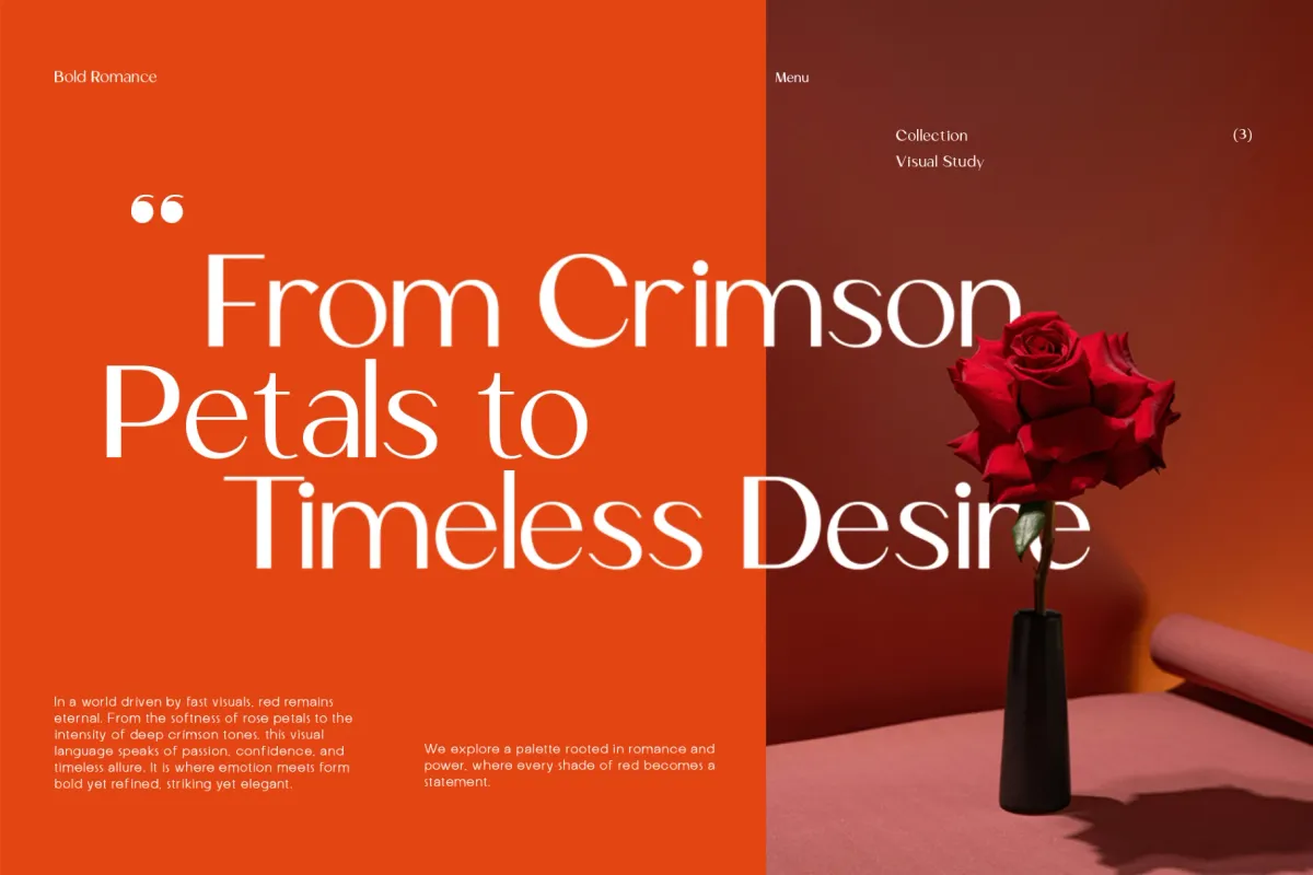 Mogace – Elegant Editorial Sans Serif Font
