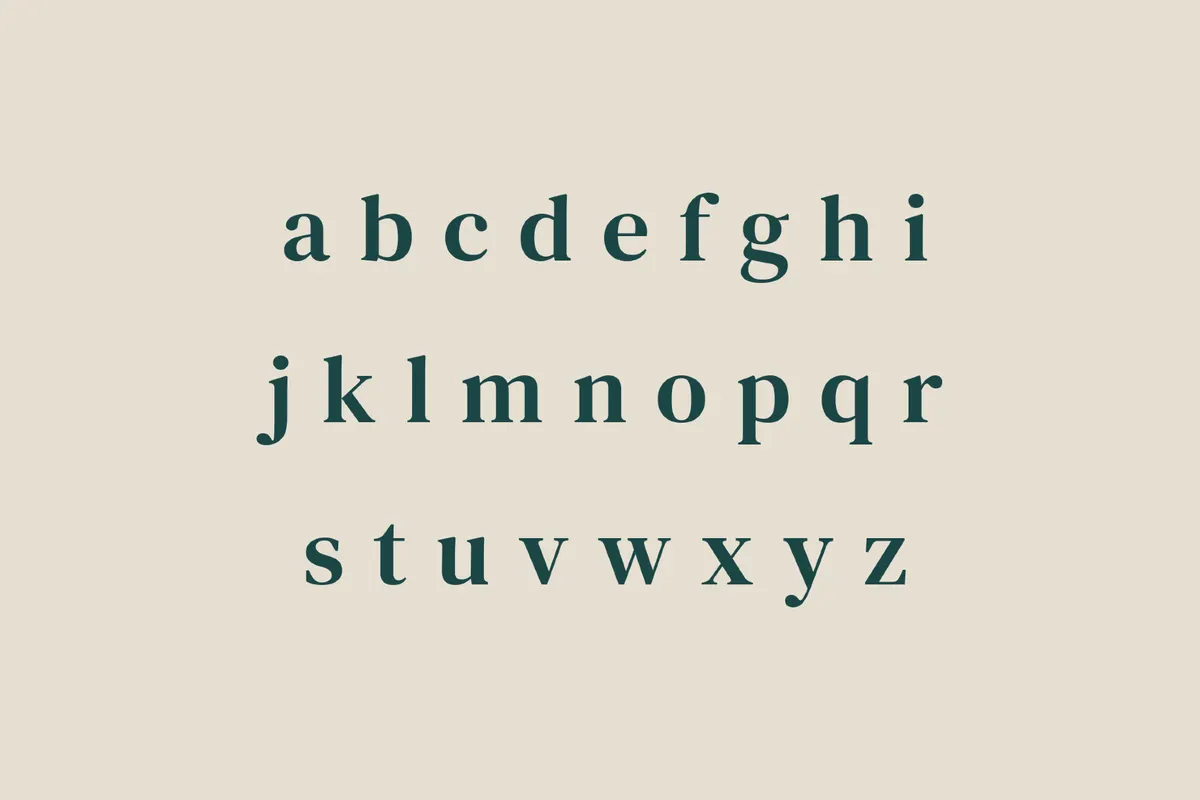 DM Serif Text - Free Font
