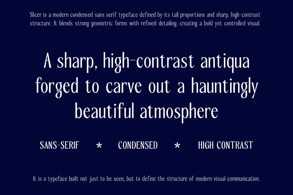 Slicer – Condensed Sans Serif Font Family