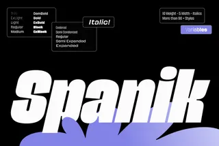 Spanik - Bold Display Sans Serif Superfamily