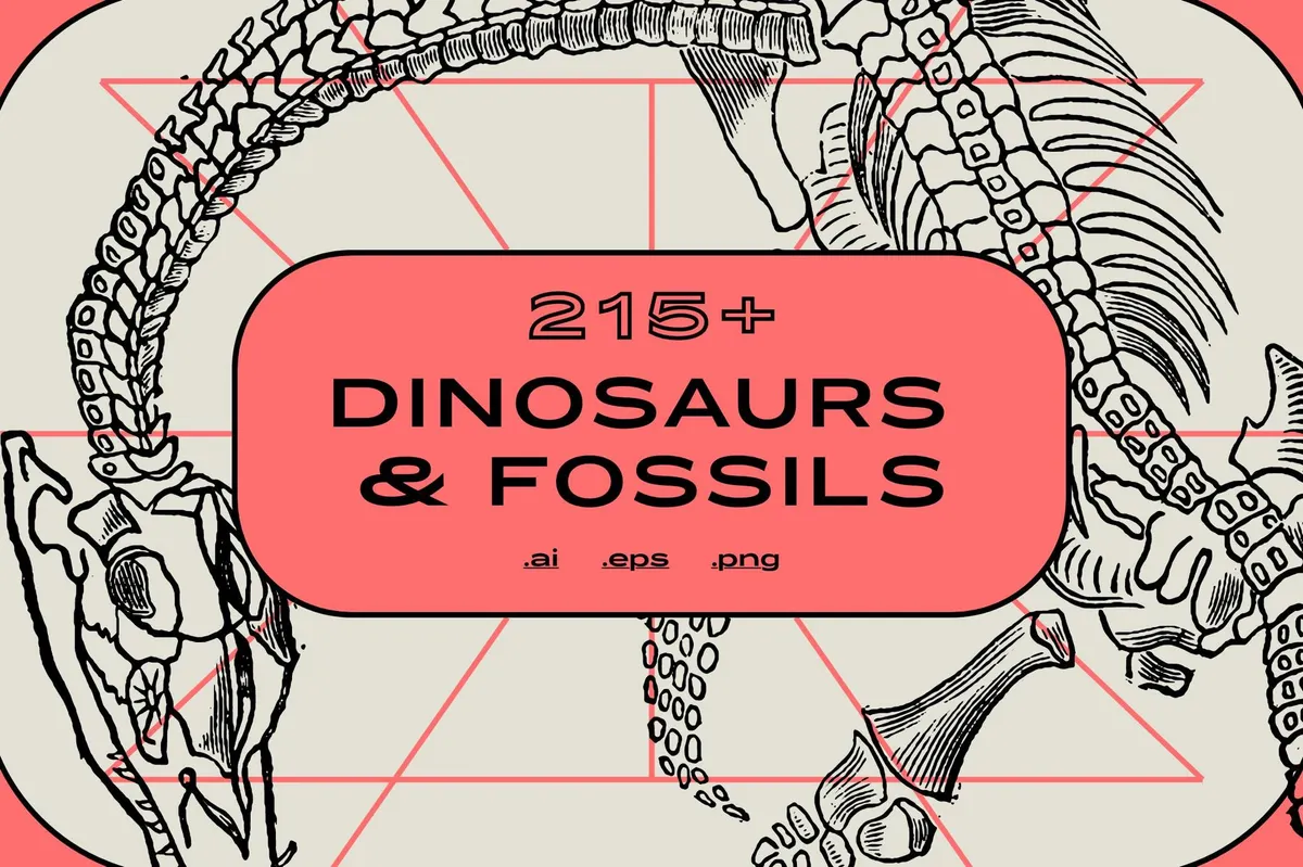 Dinosaurs and Fossils