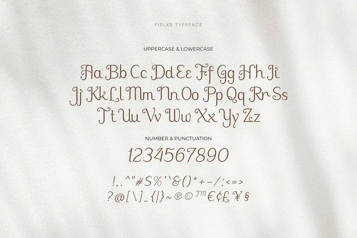Fielke - Decorative Serif