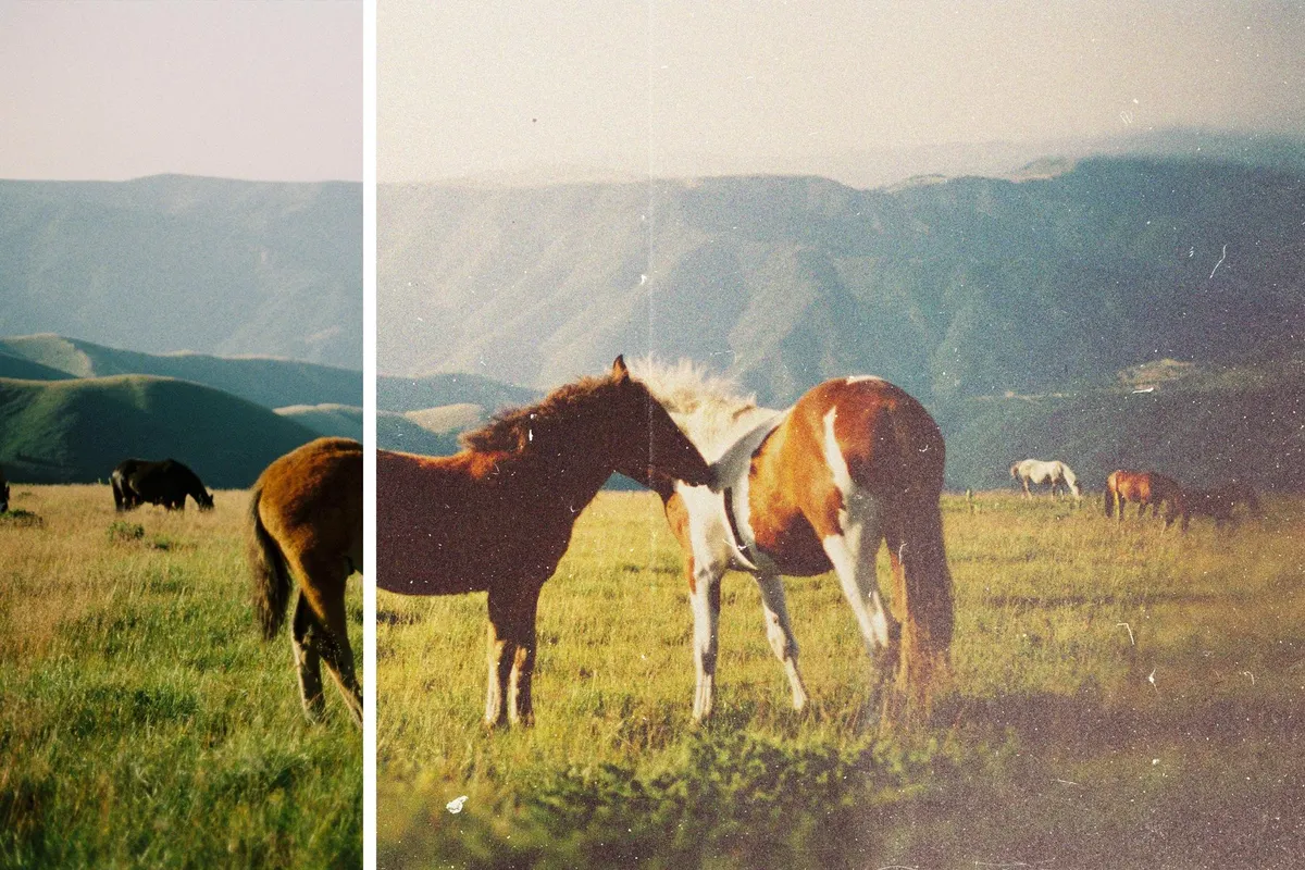 Vintage Aesthetic Photo Effect