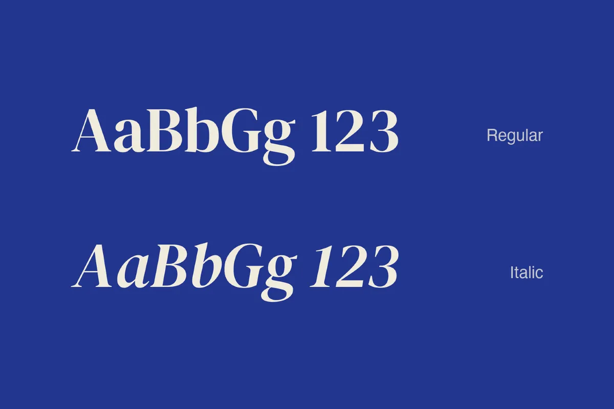 DM Serif Display - Free Font