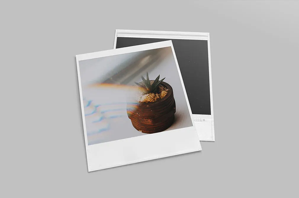 Realistic Polaroid Mockup Set