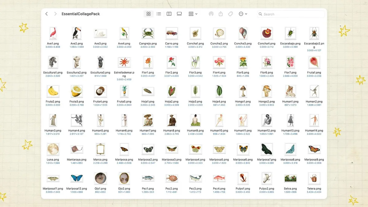 Essential Collage Pack