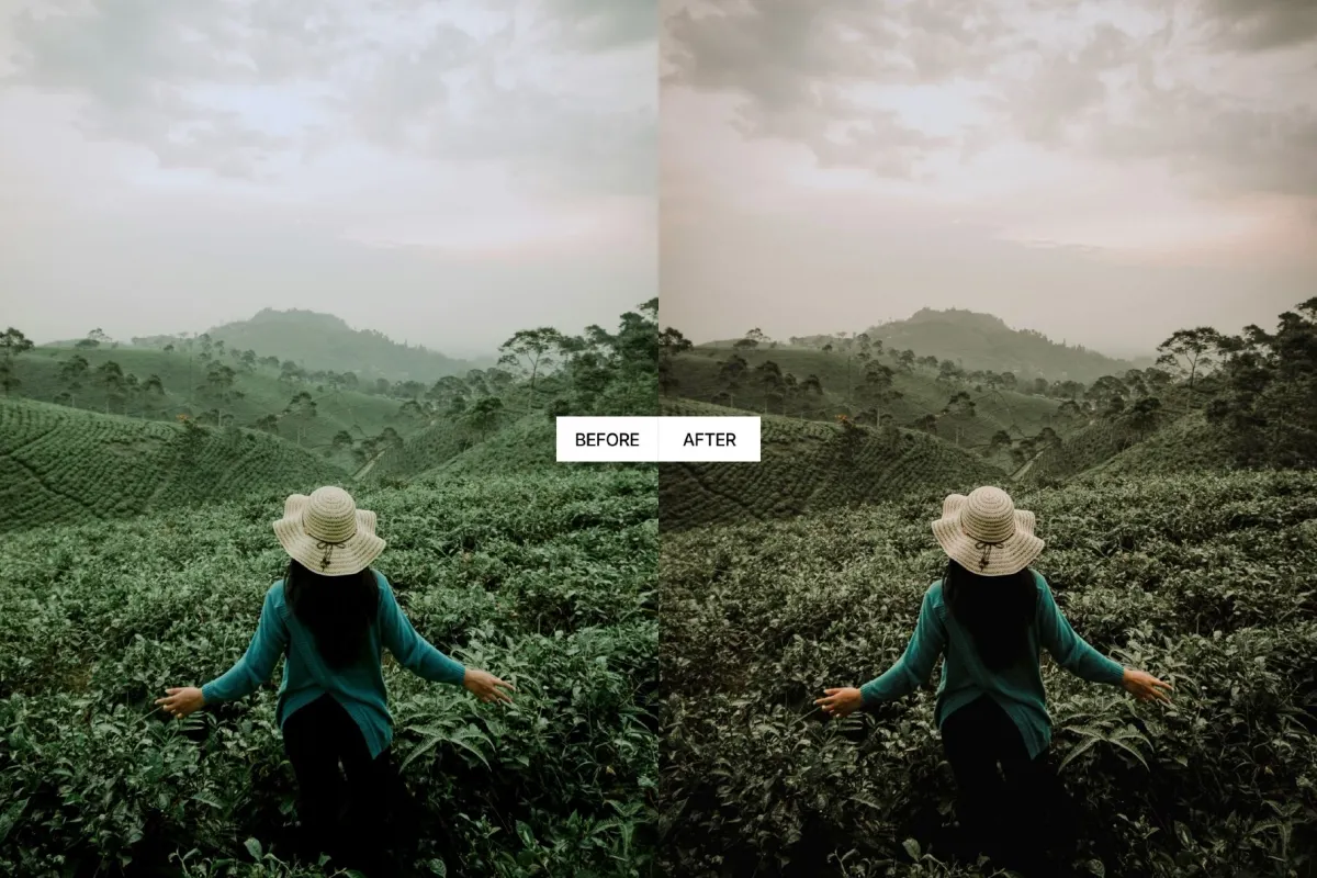 Moody Earth Tones Lightroom Presets