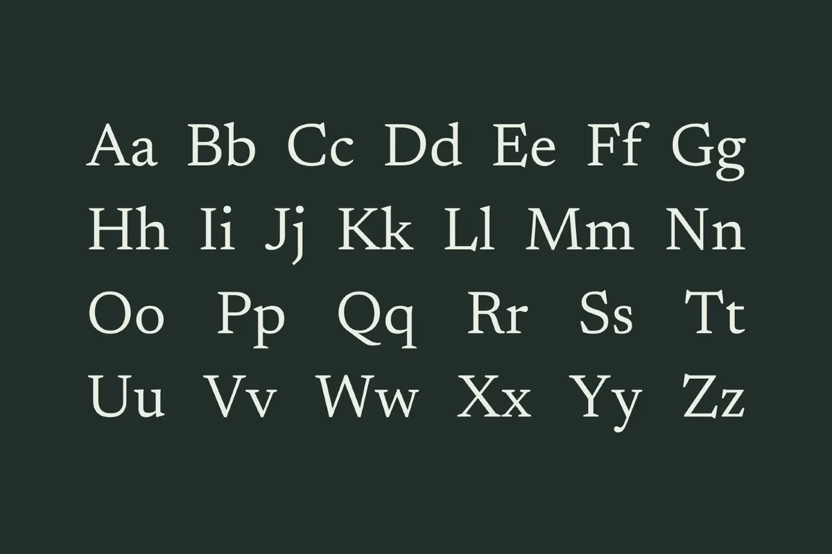 Newsreader - Free Font Family