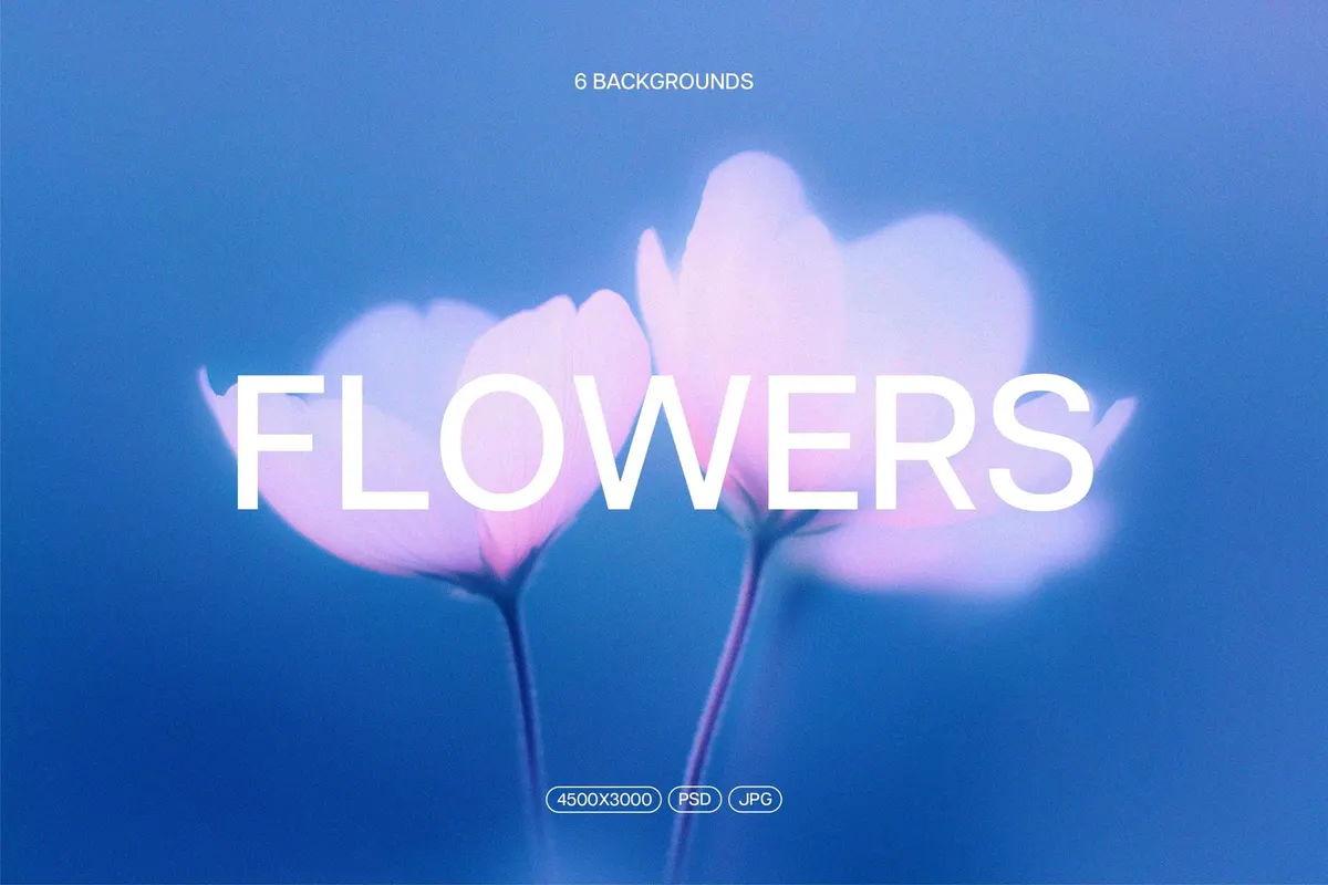 Abstract Blurred Flower Textures