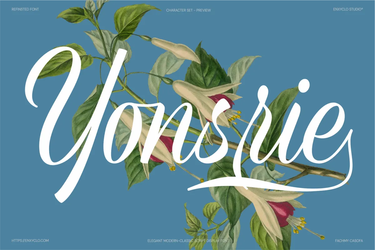 Refinsted - Modern Calligraphy Script Font