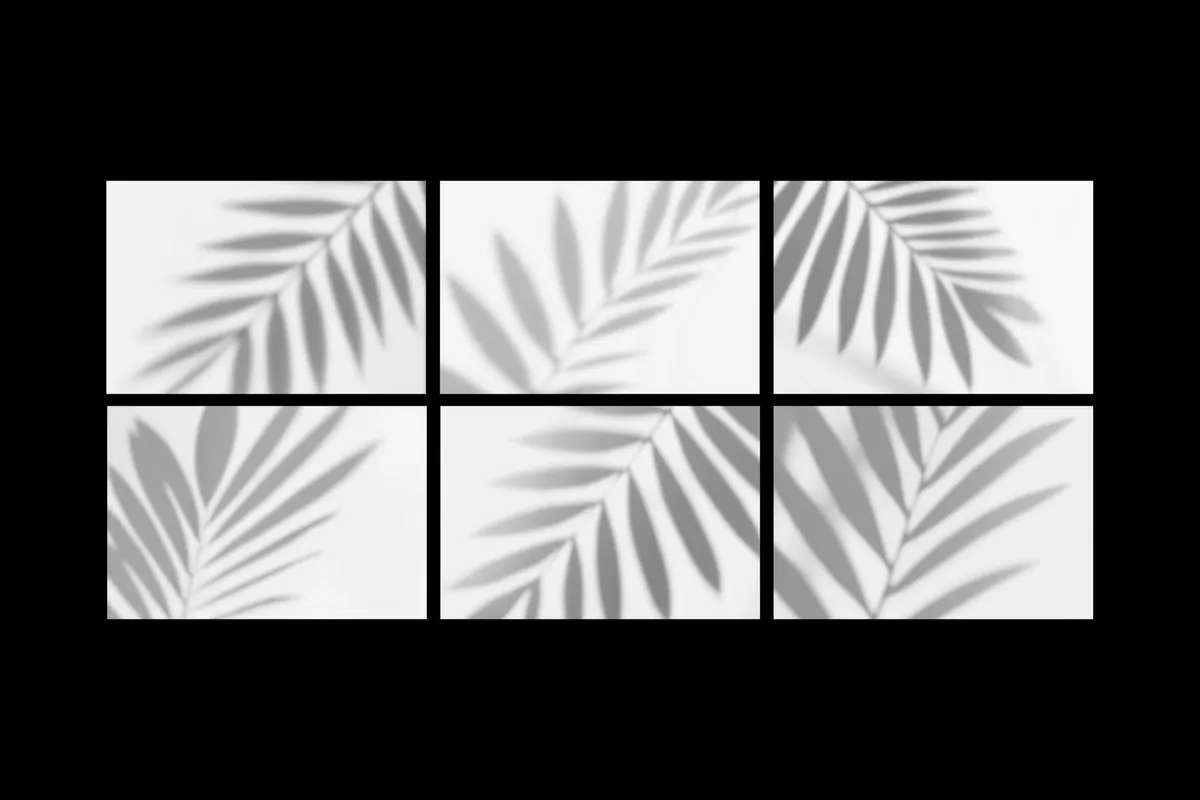 Leaves Shadows Overlay Pack