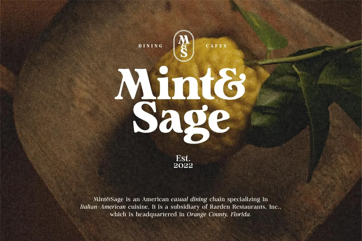 Analogue — Humanist Retro Serif