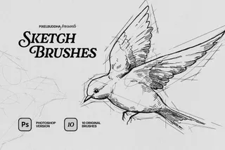 Sketch Photoshop Brushes