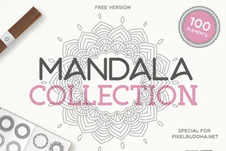 100 Mandala Vector Illustrations