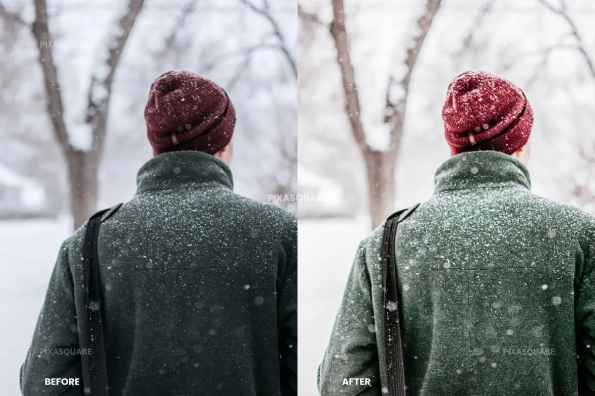 Clean Winter Lightroom Presets