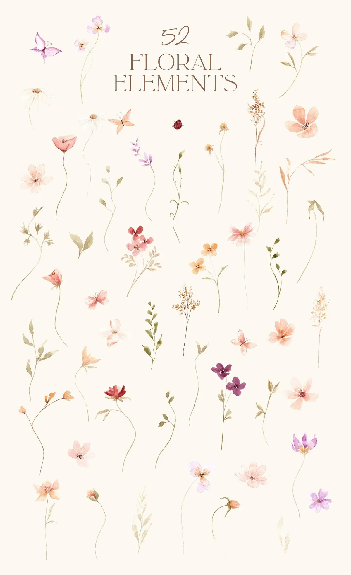 Watercolor Summer Wildflowers