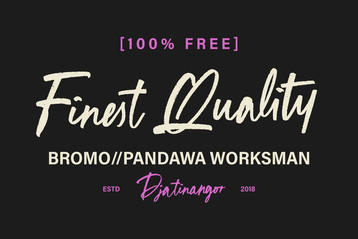 ST Pinkman - Handwritten Signature Script Font
