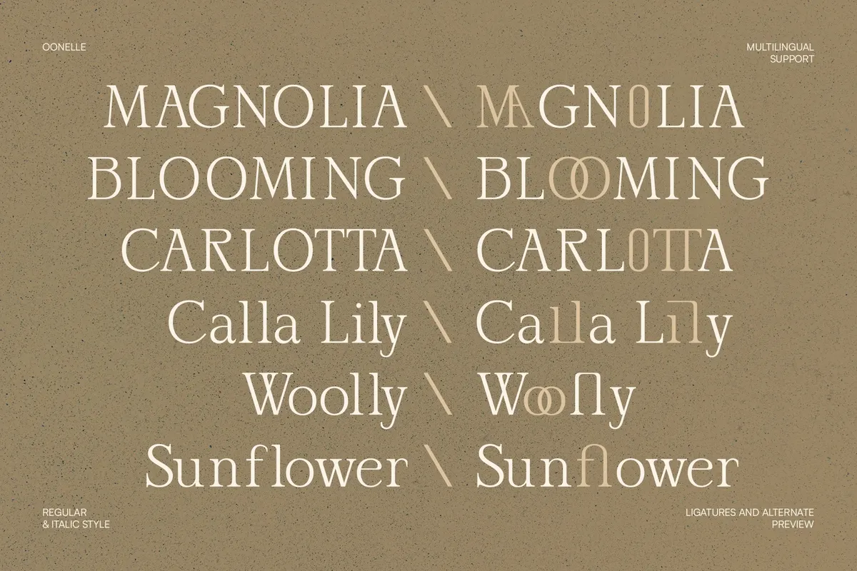 Oonelle - Elegant Serif Font