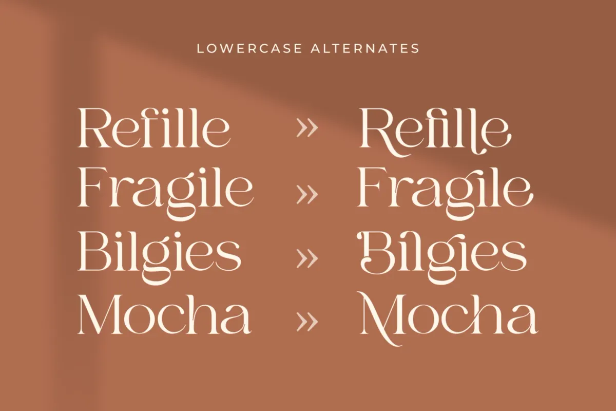 Bilgie - Chic Elegant Font