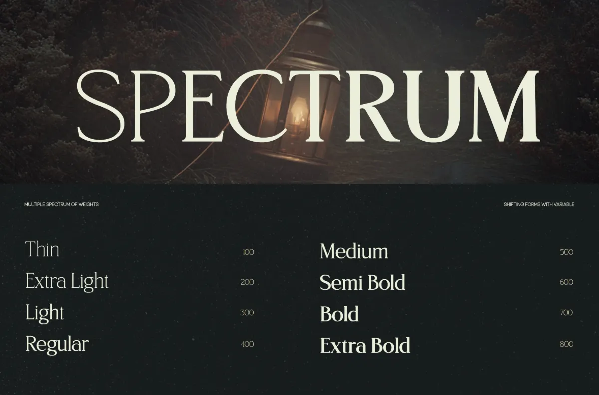 TRT Northem - Elegant Serif Font