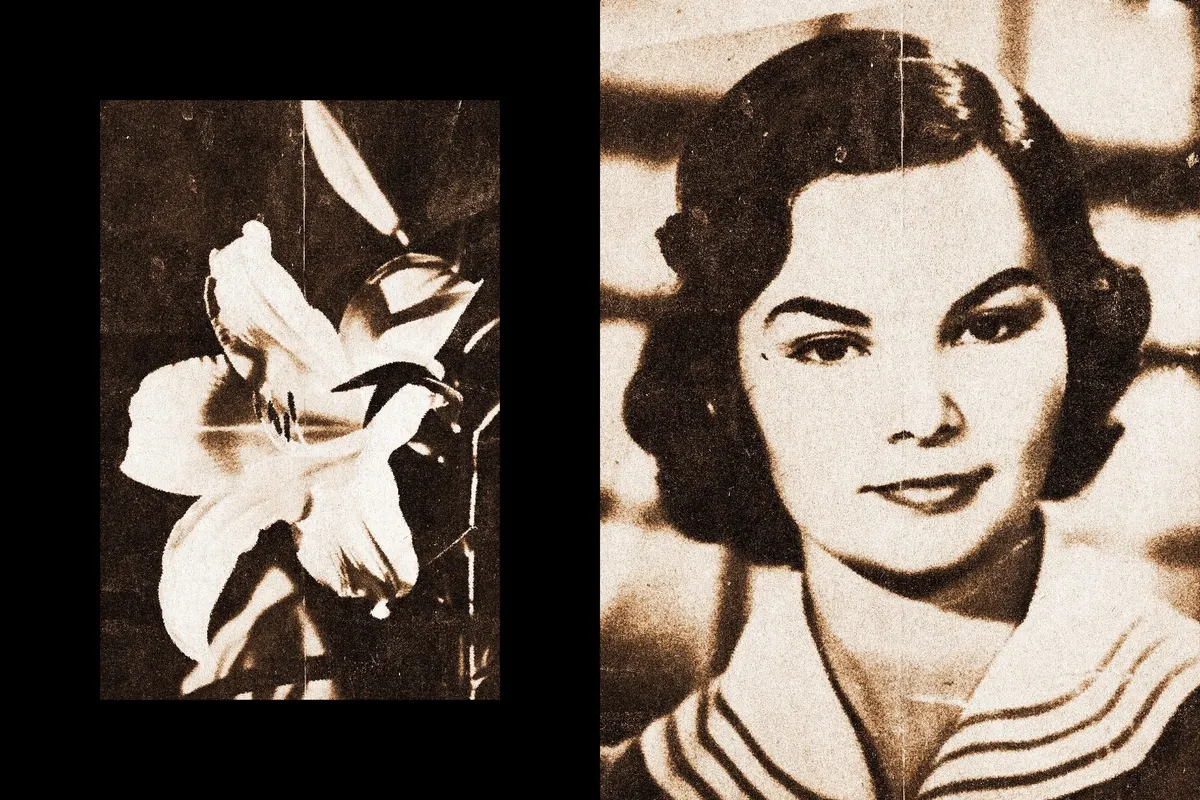 Vintage Photo Printer Effect