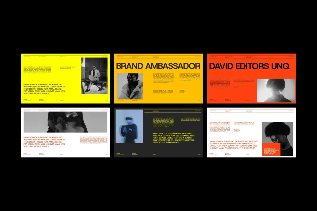 Brand Portfolio PowerPoint Template – Davids