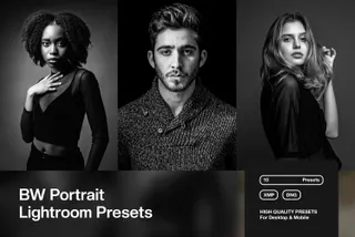 BW Portrait Lightroom Presets