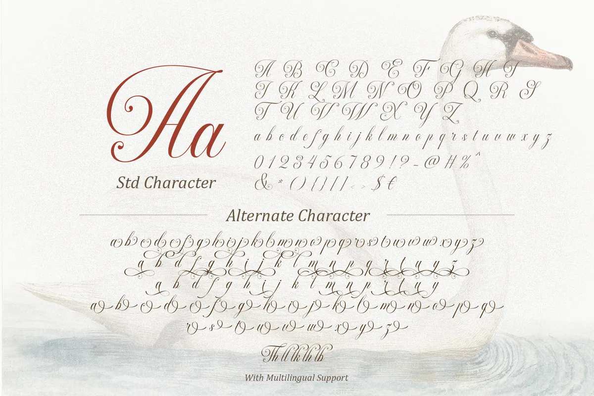 Silken Luxe - Classy Cursive Script Font