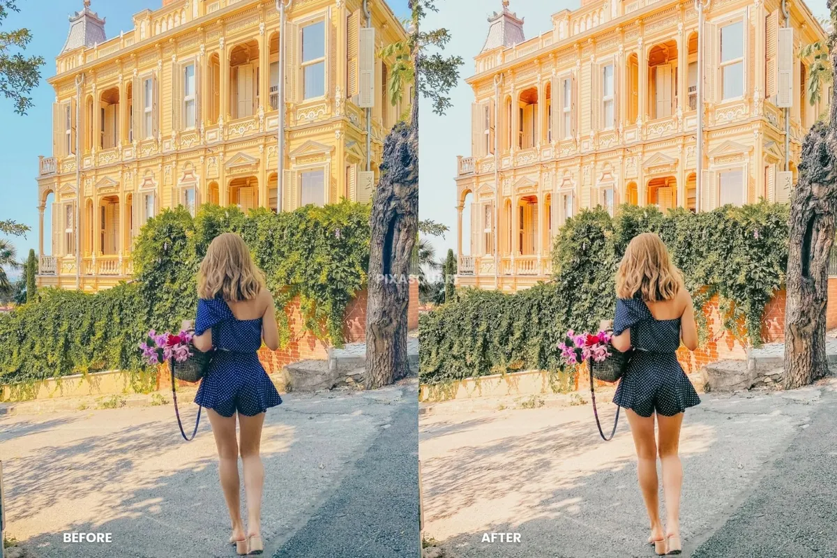 Travel Blogger Lightroom Presets