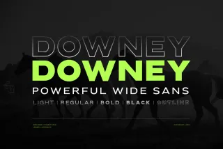 Downey - Powerful Wide Sans