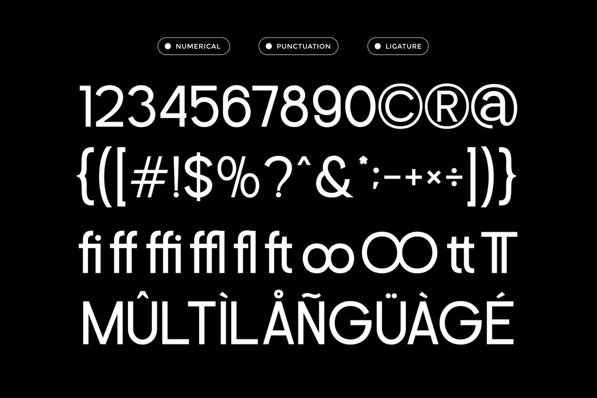Perfect Corporate Sans Serif Family