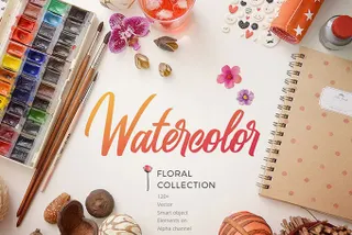 Watercolor Collection