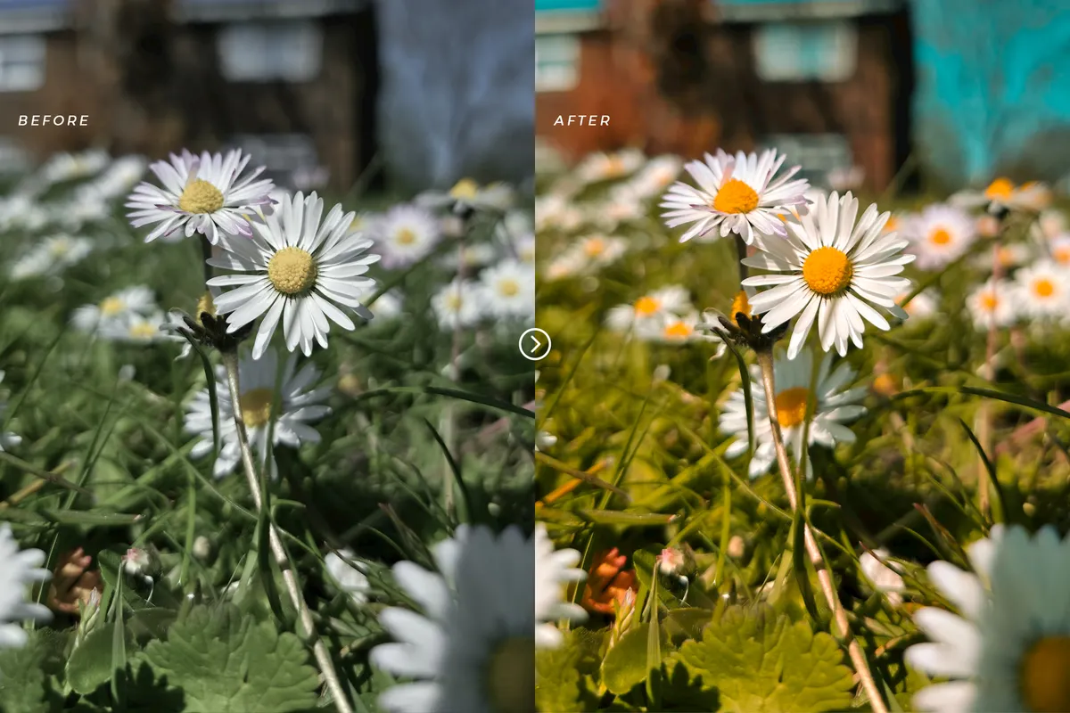 Orange & Teal Lightroom Presets