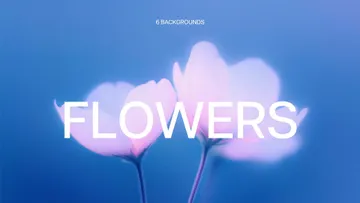 Abstract Blurred Flower Textures