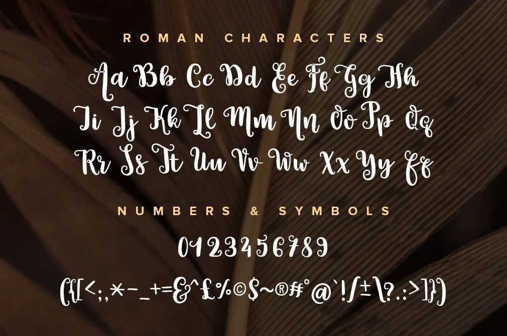 Alannah Script Font