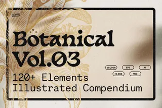 Botanical Illustrations