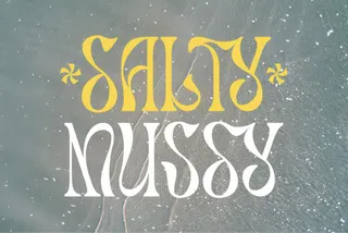 Salty Mussy - Quirky Twisted Display