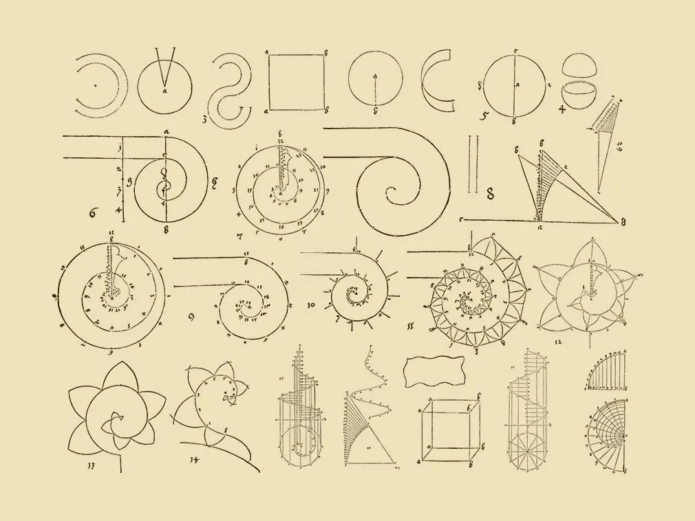 Squaring the Circle Vector Assets