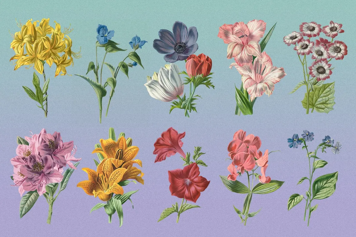 Atlas of Flowers — Botanical Art Set
