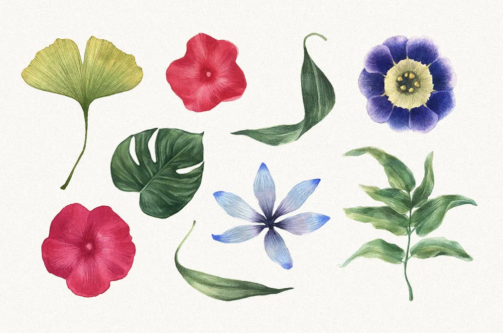 Watercolor Flowers Collection