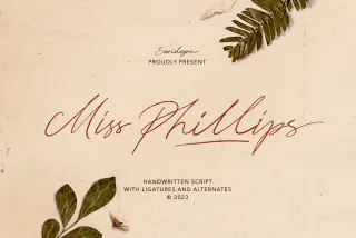 Miss Phillips - Handwritten Script