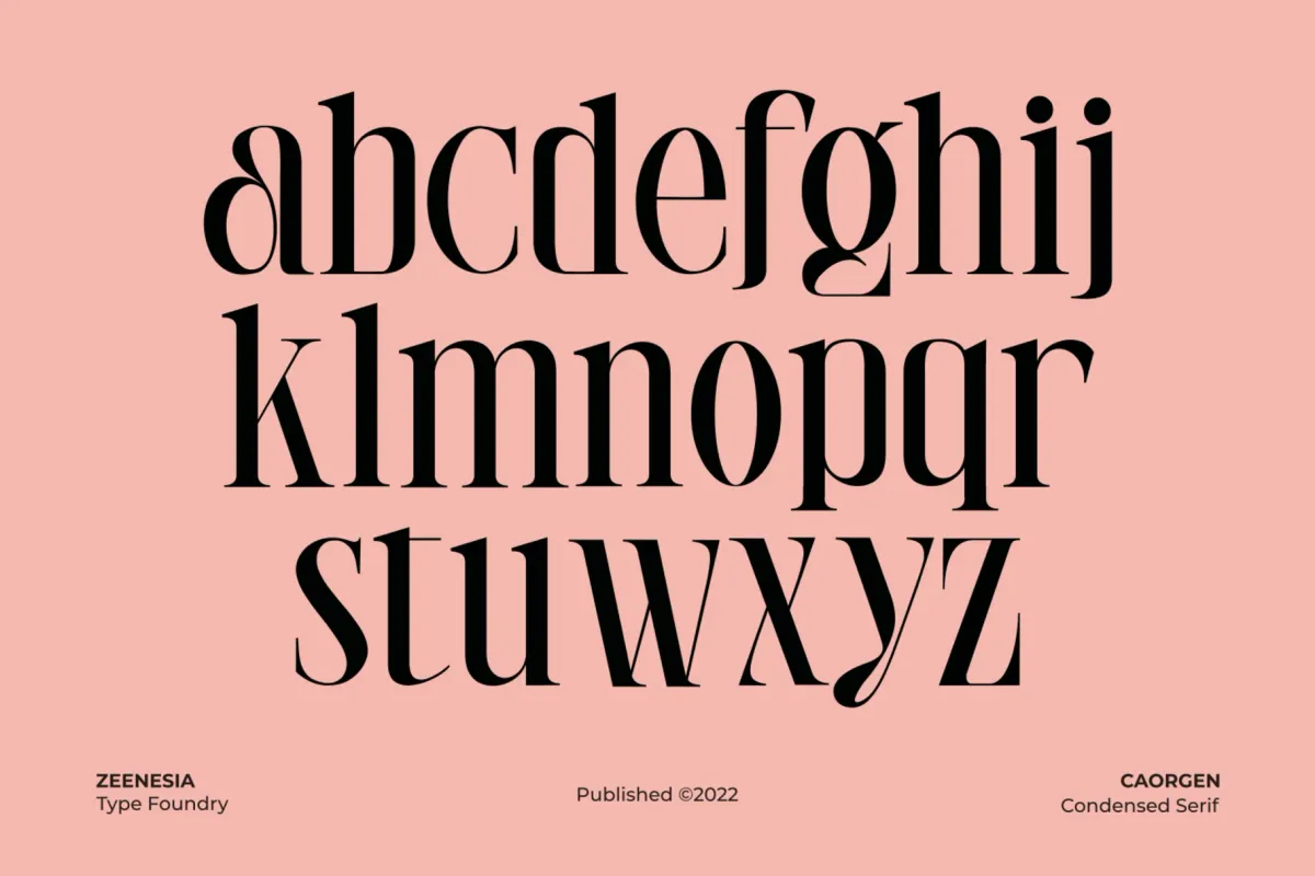 Caorgen - Fashion Display Serif Font