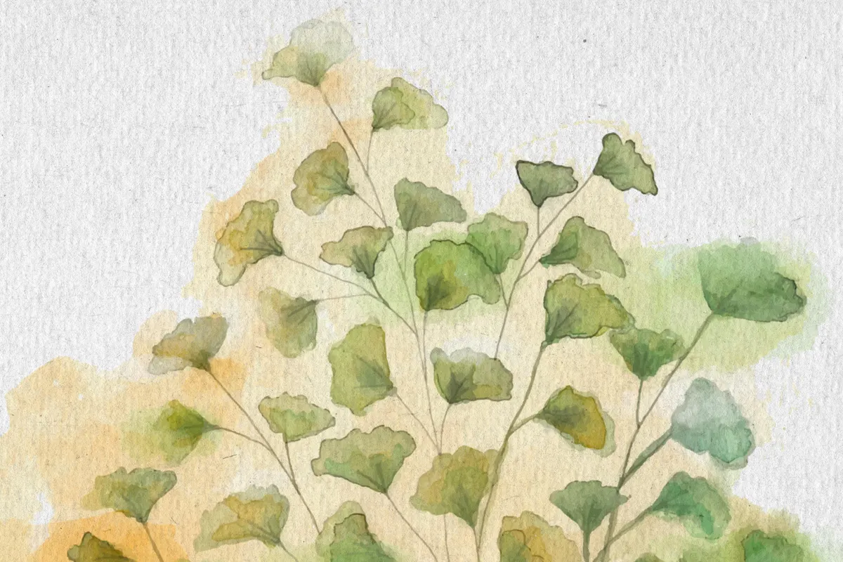 12 Watercolor Paper Textures