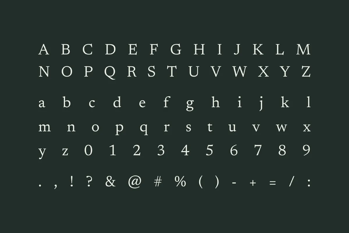 Newsreader - Free Font Family