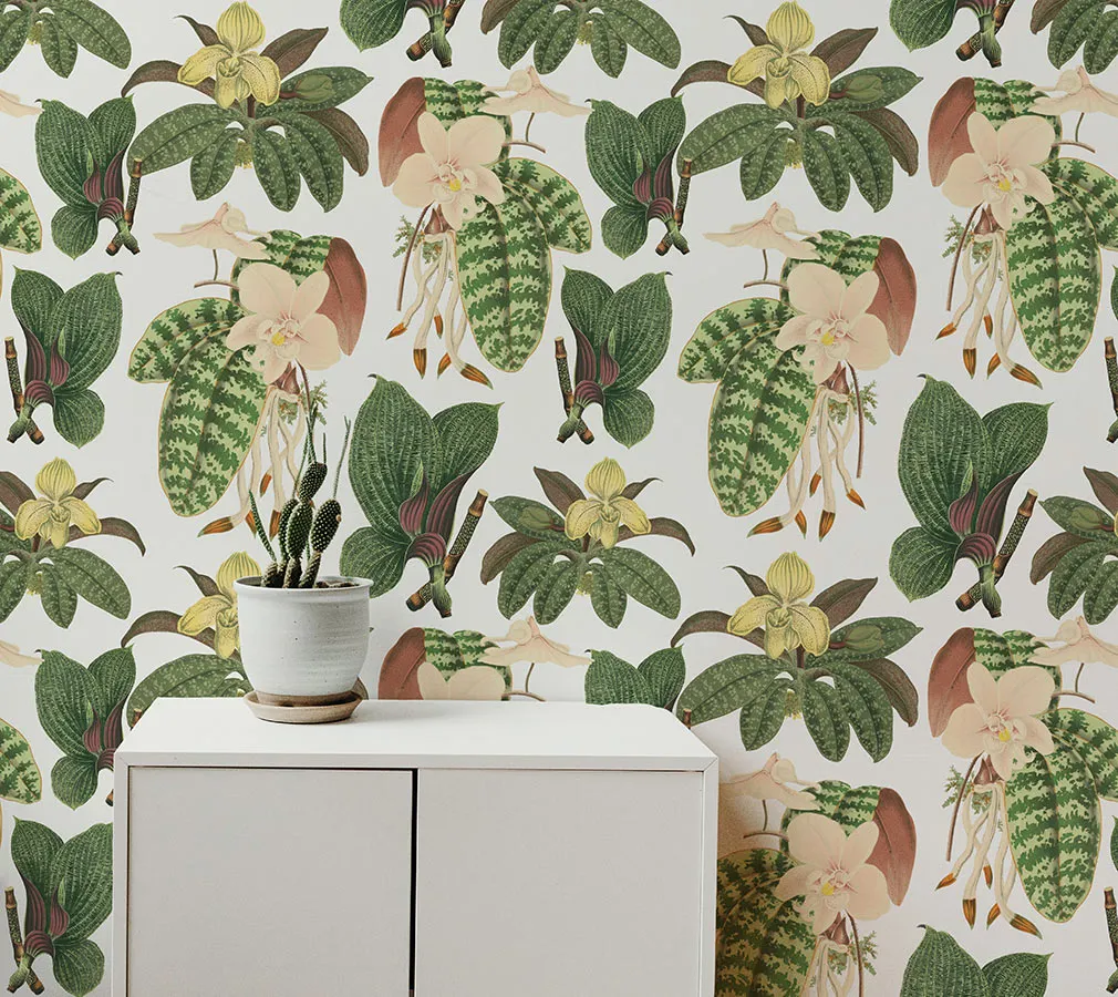 Tropical Vintage Graphic Set