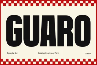 Guaro - Bold Sport Condensed Font