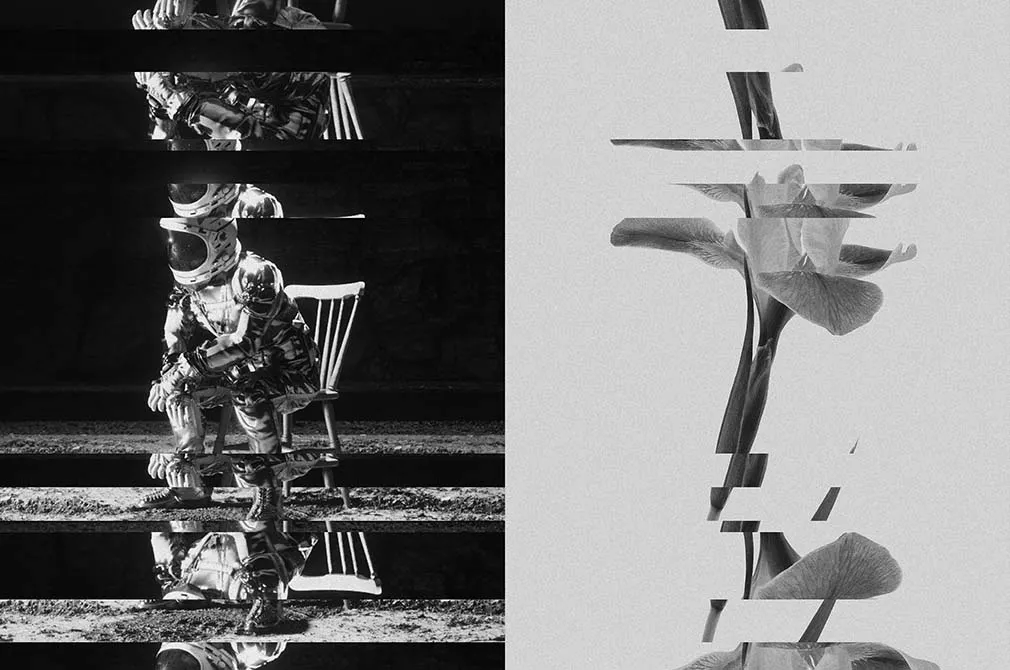 Monochrome Fractals Poster Effect